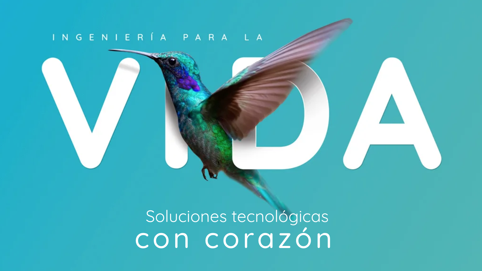 ¿Qué papel tiene i4life en datiacare?